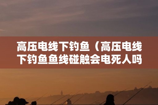 高压电线下钓鱼（高压电线下钓鱼鱼线碰触会电死人吗）