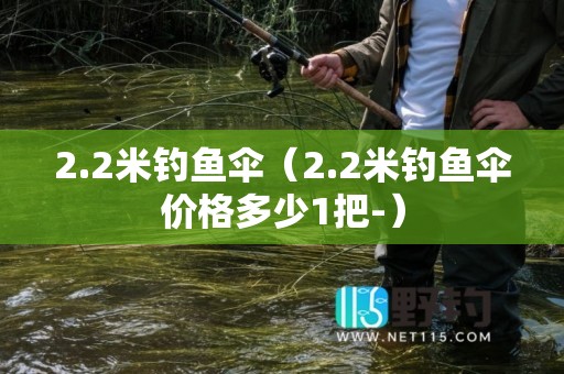 2.2米钓鱼伞（2.2米钓鱼伞价格多少1把-）