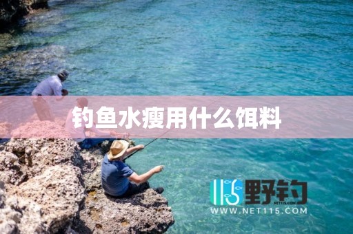 钓鱼水瘦用什么饵料