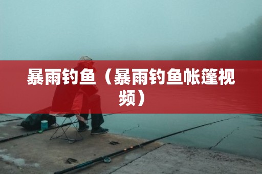 暴雨钓鱼（暴雨钓鱼帐篷视频）