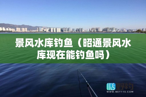景风水库钓鱼（昭通景风水库现在能钓鱼吗）