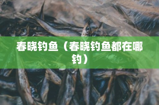 春晓钓鱼（春晓钓鱼都在哪钓）