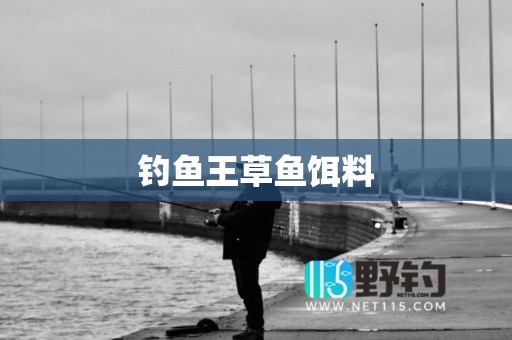 钓鱼王草鱼饵料