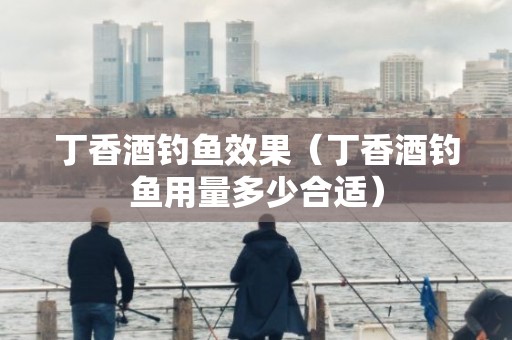 丁香酒钓鱼效果（丁香酒钓鱼用量多少合适）