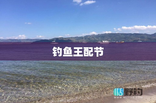 钓鱼王配节
