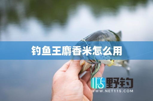 钓鱼王麝香米怎么用