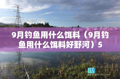 9月钓鱼用什么饵料（9月钓鱼用什么饵料好野河）5