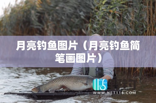 月亮钓鱼图片（月亮钓鱼简笔画图片）