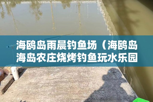 海鸥岛雨晨钓鱼场（海鸥岛海岛农庄烧烤钓鱼玩水乐园）