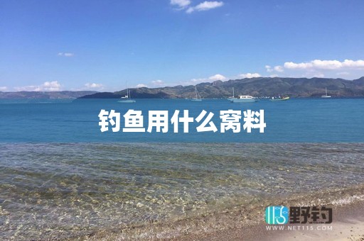 钓鱼用什么窝料