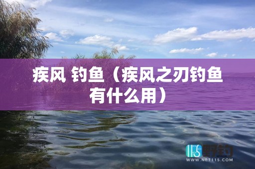 疾风 钓鱼（疾风之刃钓鱼有什么用）