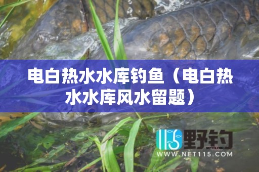 电白热水水库钓鱼（电白热水水库风水留题）