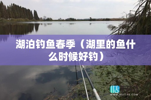 湖泊钓鱼春季（湖里的鱼什么时候好钓）