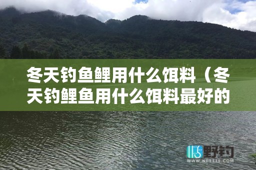 冬天钓鱼鲤用什么饵料（冬天钓鲤鱼用什么饵料最好的选择）