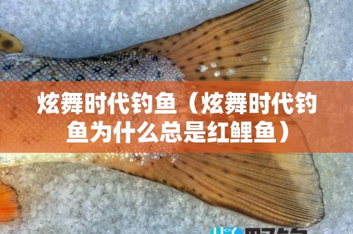 炫舞时代钓鱼（炫舞时代钓鱼为什么总是红鲤鱼）