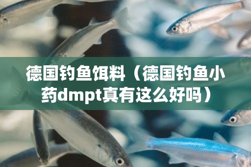 德国钓鱼饵料（德国钓鱼小药dmpt真有这么好吗）