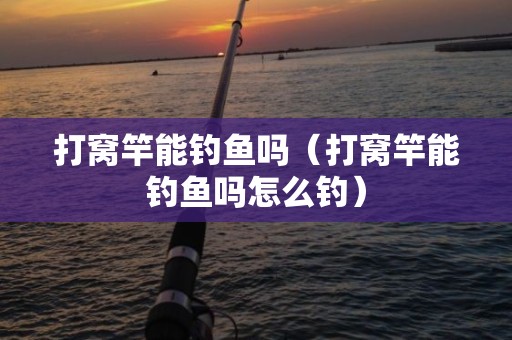 打窝竿能钓鱼吗（打窝竿能钓鱼吗怎么钓）