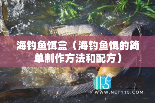 海钓鱼饵盒（海钓鱼饵的简单制作方法和配方）