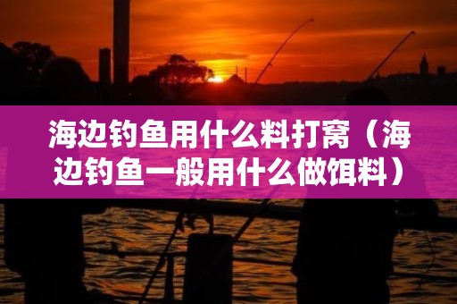 海边钓鱼用什么料打窝（海边钓鱼一般用什么做饵料）