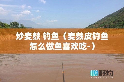 炒麦麸 钓鱼（麦麸皮钓鱼怎么做鱼喜欢吃-）