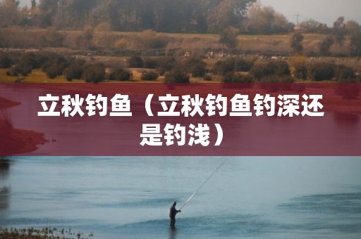 立秋钓鱼（立秋钓鱼钓深还是钓浅）