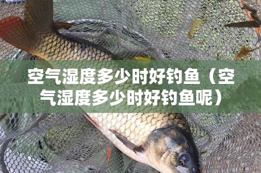 空气湿度多少时好钓鱼（空气湿度多少时好钓鱼呢）