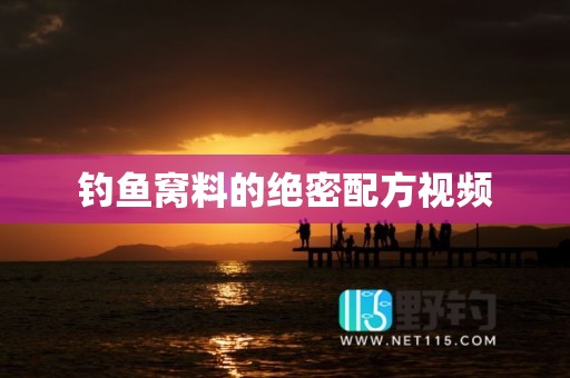 钓鱼窝料的绝密配方视频