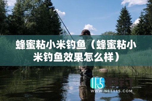 蜂蜜粘小米钓鱼（蜂蜜粘小米钓鱼效果怎么样）