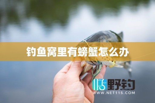 钓鱼窝里有螃蟹怎么办