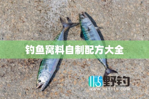 钓鱼窝料自制配方大全