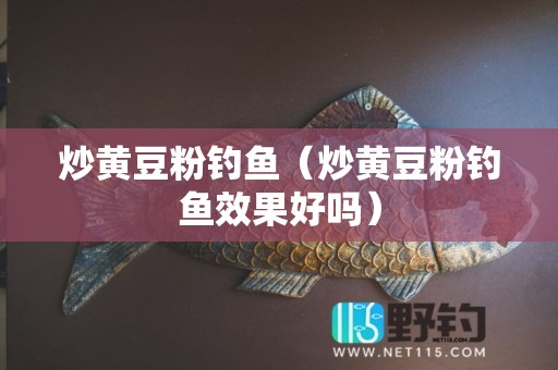 炒黄豆粉钓鱼（炒黄豆粉钓鱼效果好吗）