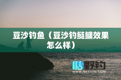 豆沙钓鱼（豆沙钓鲢鳙效果怎么样）
