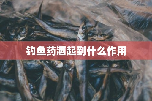 钓鱼药酒起到什么作用