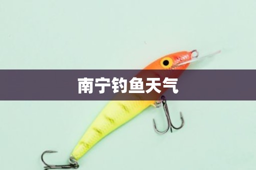 南宁钓鱼天气
