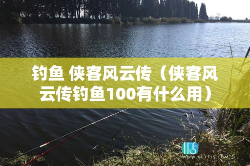 钓鱼 侠客风云传（侠客风云传钓鱼100有什么用）
