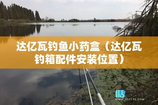 达亿瓦钓鱼小药盒（达亿瓦钓箱配件安装位置）