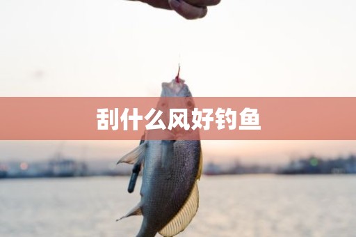 刮什么风好钓鱼