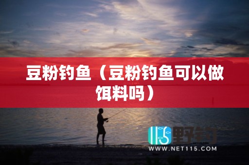 豆粉钓鱼（豆粉钓鱼可以做饵料吗）