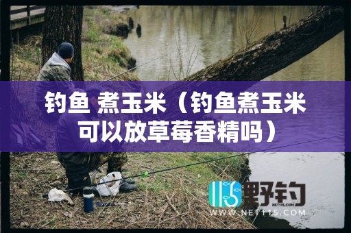 钓鱼 煮玉米（钓鱼煮玉米可以放草莓香精吗）