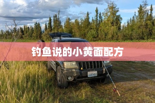 钓鱼说的小黄面配方