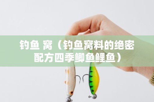 钓鱼 窝（钓鱼窝料的绝密配方四季鲫鱼鲤鱼）