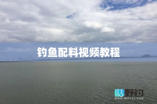 钓鱼配料视频教程