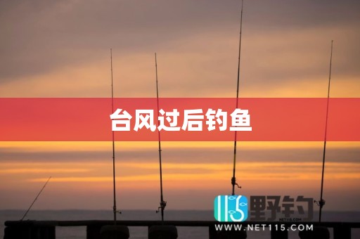 台风过后钓鱼