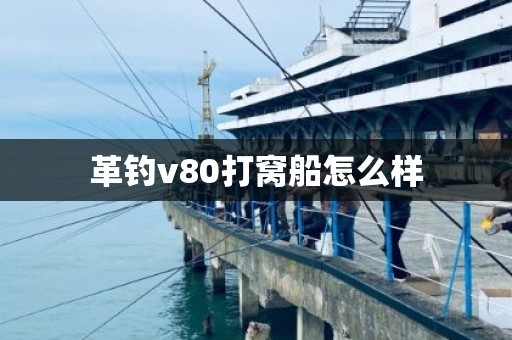 革钓v80打窝船怎么样