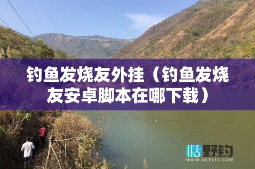 钓鱼发烧友外挂（钓鱼发烧友安卓脚本在哪下载）