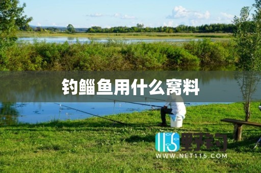 钓鲻鱼用什么窝料