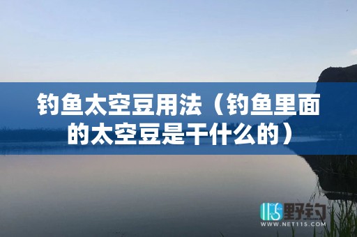 钓鱼太空豆用法（钓鱼里面的太空豆是干什么的）