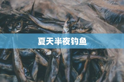 钓鱼的时间段（钓鲫鱼什么时间段好钓鱼）