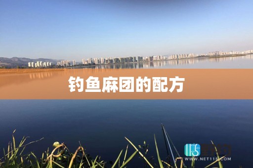 钓鱼麻团的配方