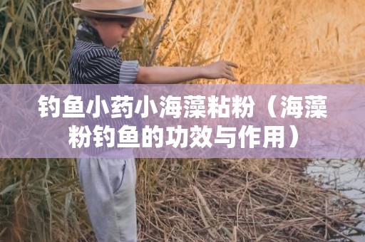 钓鱼小药小海藻粘粉（海藻粉钓鱼的功效与作用）
